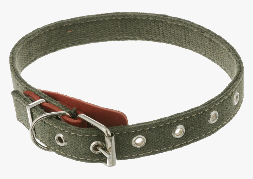 Dog Images Free Download, HD Png Download