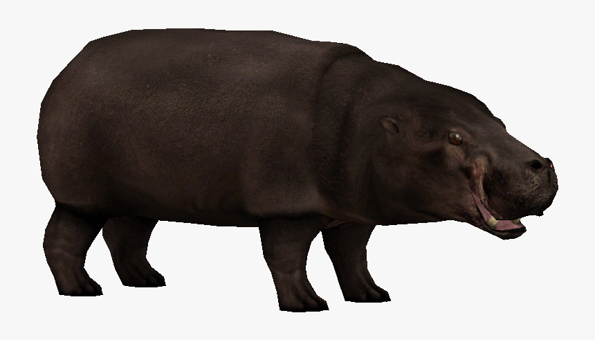 Download Hippo Png Transparent Images Transparent Backgrounds, Png Download
