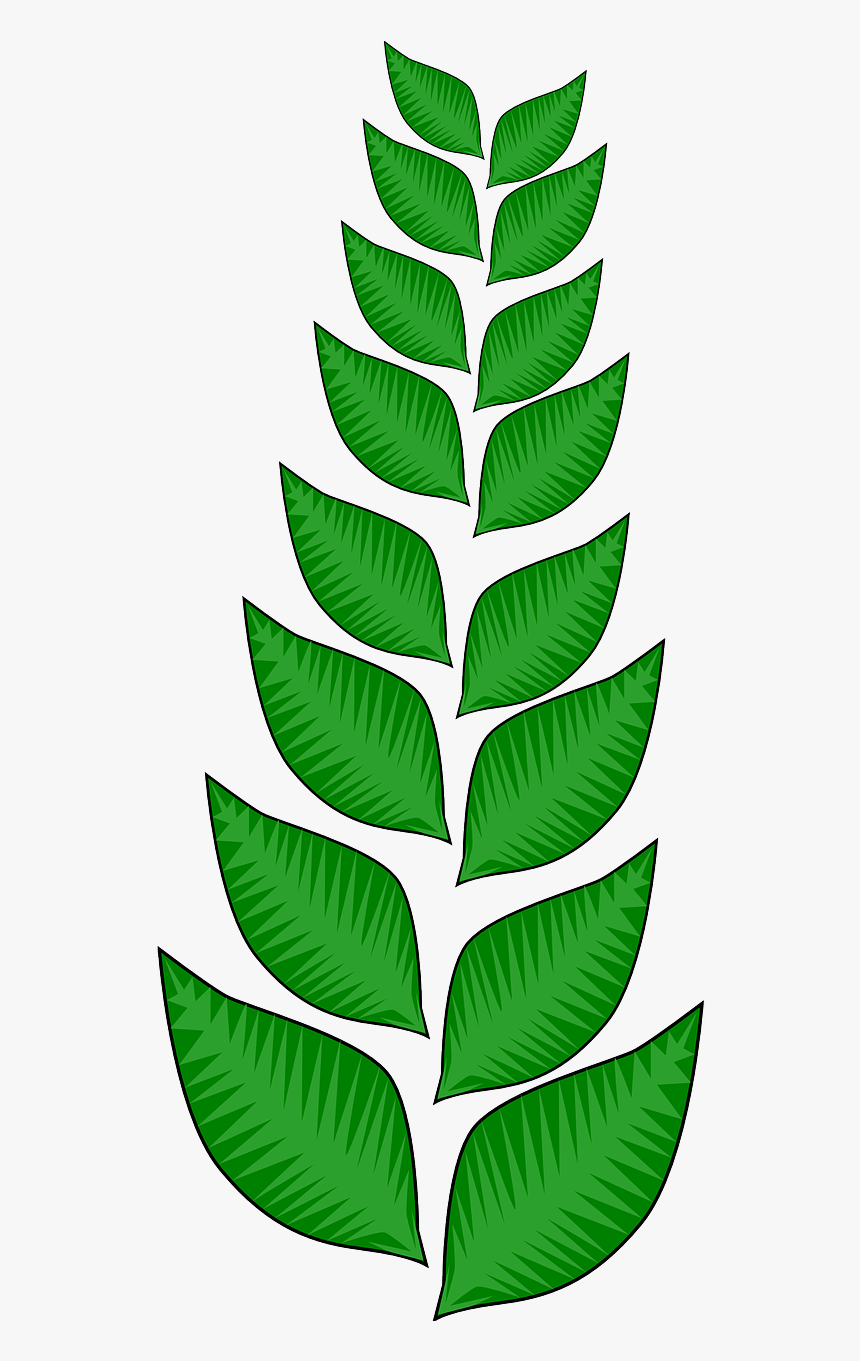 Vegetation Png, Transparent Png