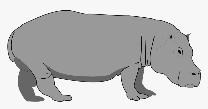 Hippo Png, Transparent Png