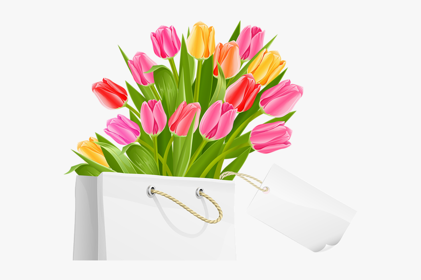 Tulip Png, Transparent Png