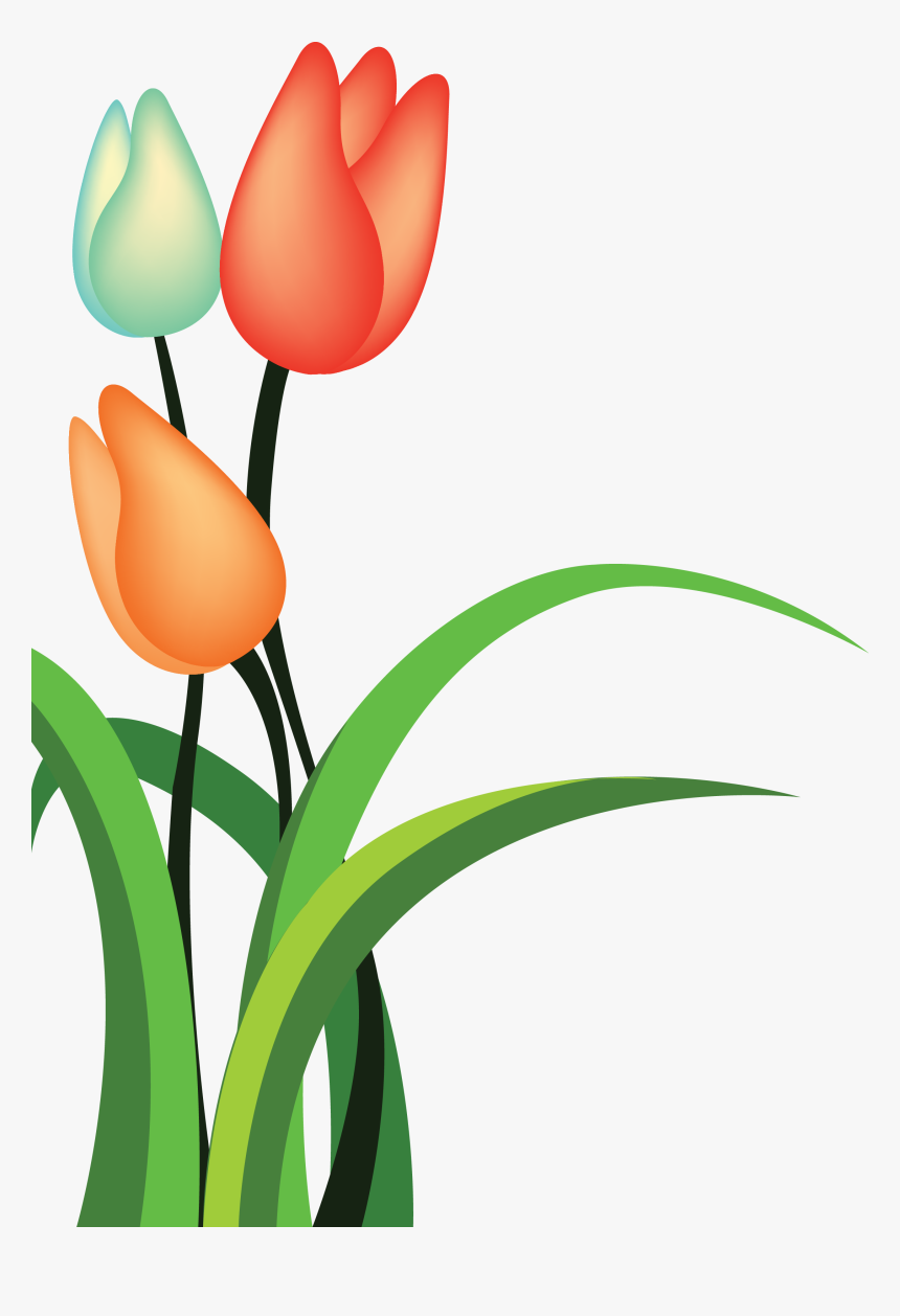 Tulip Cartoon Flower, HD Png Download