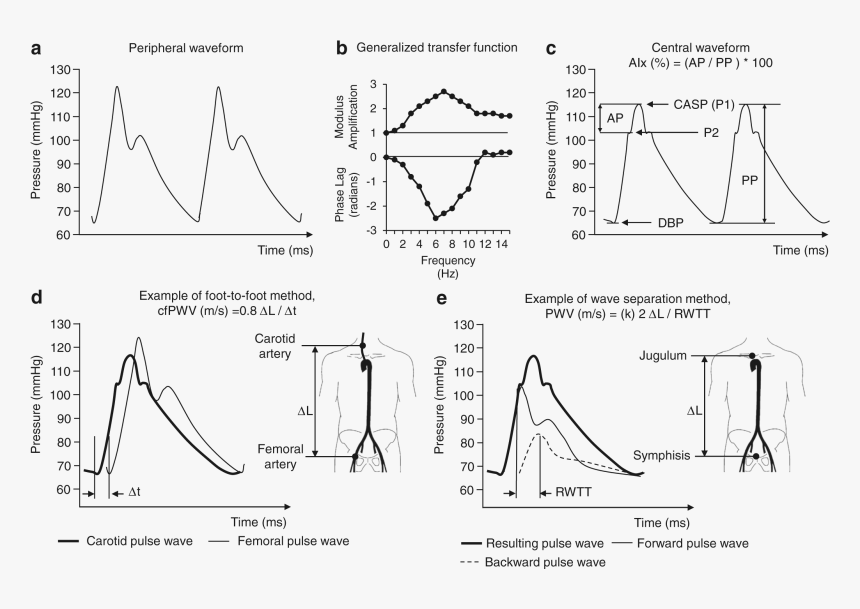 Method Of Pulse Wave Analisys, HD Png Download