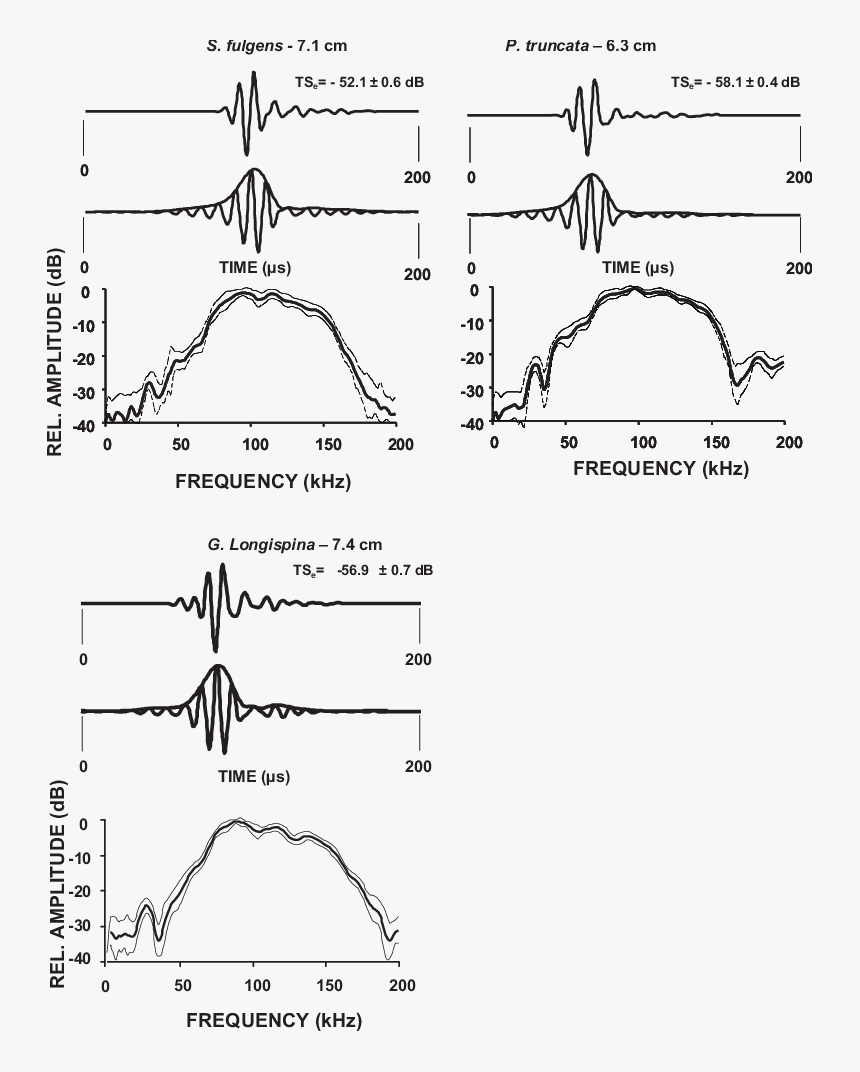 Waveform Png, Transparent Png