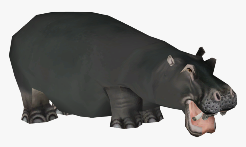 Clip Art Hippopotamus Gorgops, HD Png Download