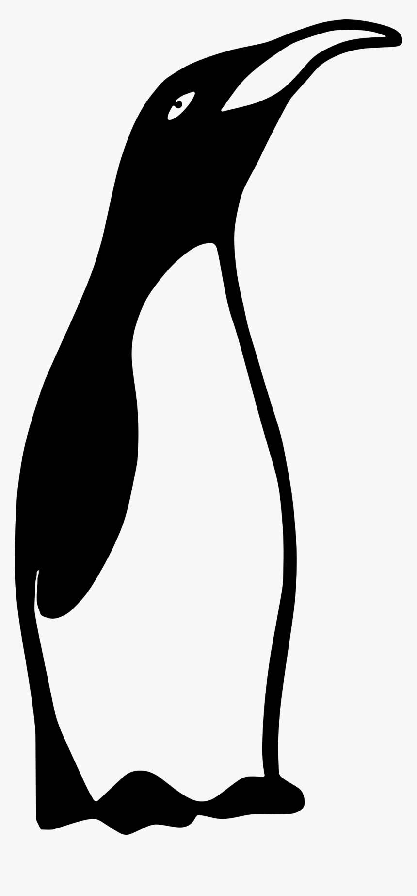Smug Penguin Clip Arts, HD Png Download