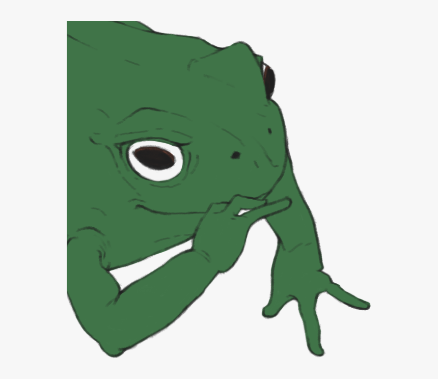 Green Toad Amphibian Frog Vertebrate Tree Frog Fauna, HD Png Download