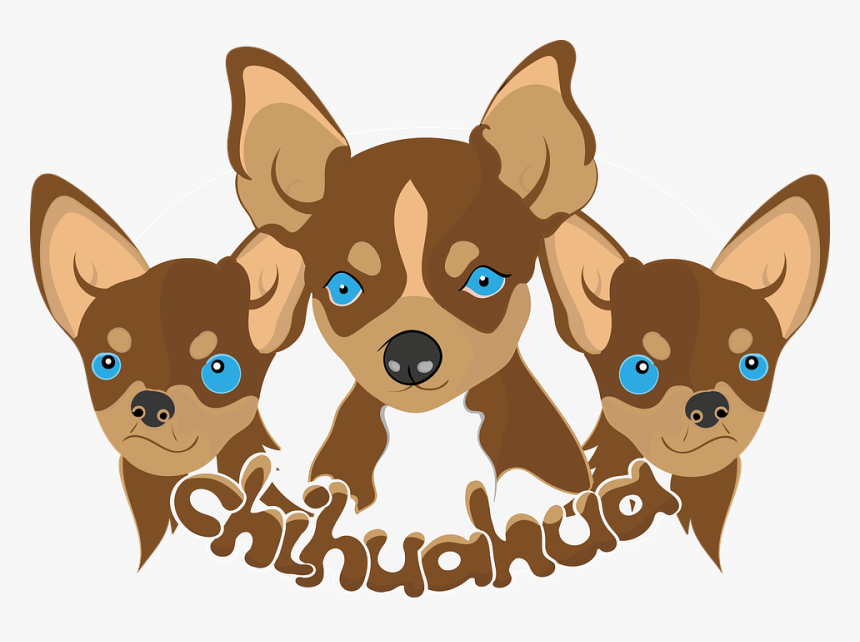 Doggies, Chihuahua, Dogs, HD Png Download