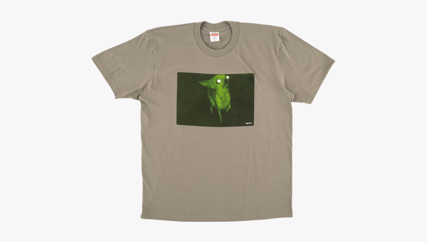 Chihuahua Png, Transparent Png