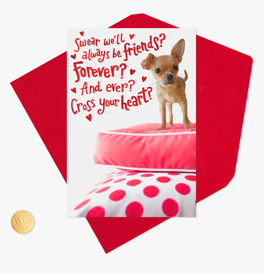Chihuahua For My Forever Friend Valentine S Day, HD Png Download