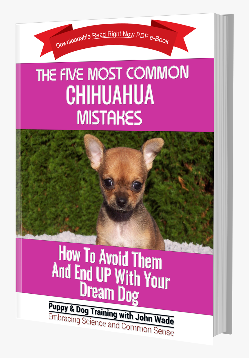 Chihuahua Png, Transparent Png