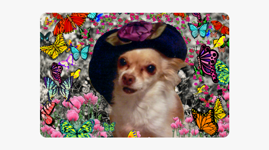 Chi Chi In Yellow Butterflies, Chihuahua Puppy Dog, HD Png Download