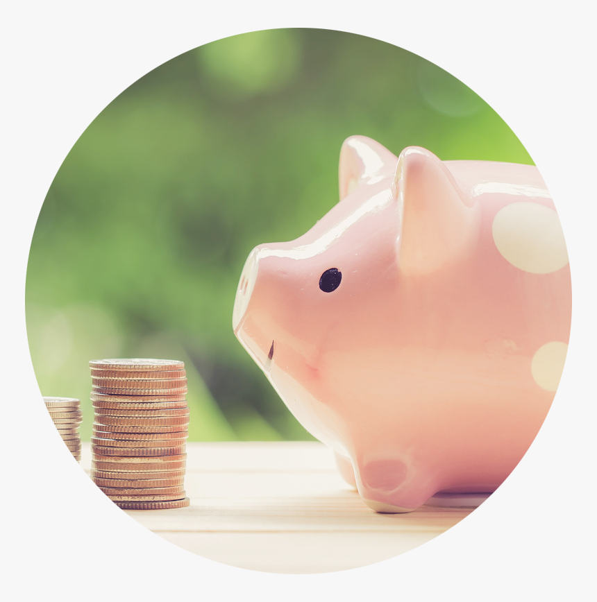 Affordable Dentistry Piggy Bank, HD Png Download