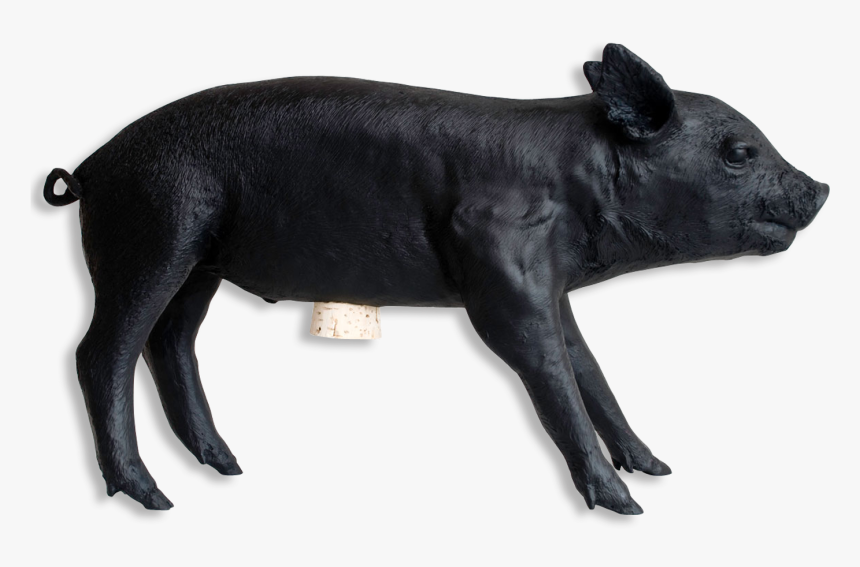 Reality Bank In The Form Of A Pig By Areaware Matte, HD Png Download