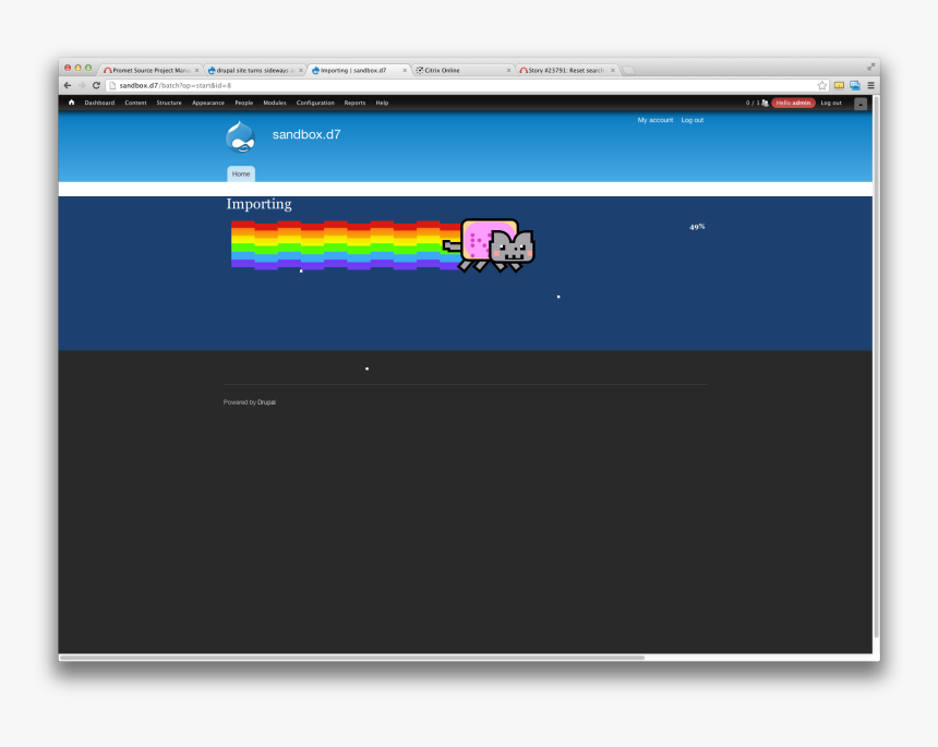 Nyan Cat Png, Transparent Png