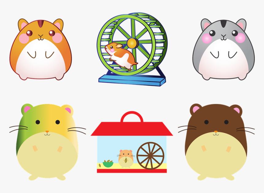 Hamster, Pet, Mouse, Cage, Hamster Wheel, Creature, HD Png Download