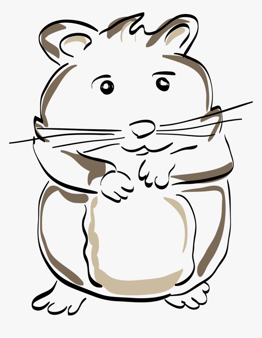 Hamster Png, Transparent Png