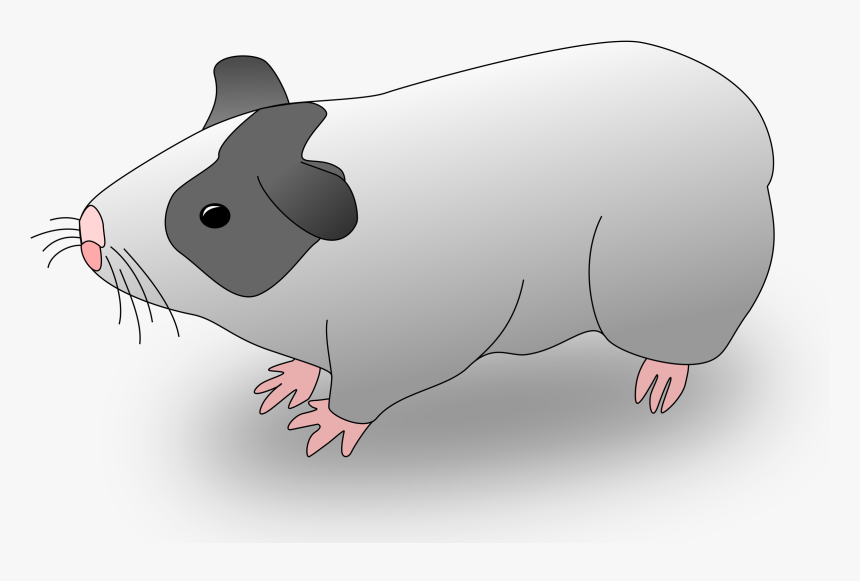Hamster Clipart Guinea Pig, HD Png Download