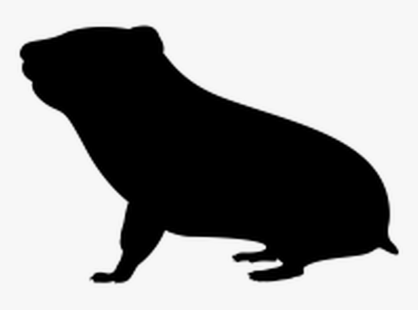 Transparent Hamster Black And White Clipart, HD Png Download