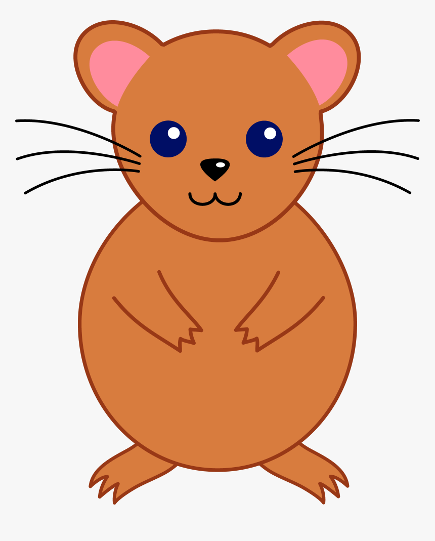 Transparent Hamster Wheel Png, Png Download