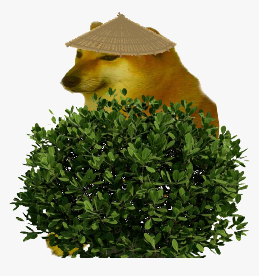 Hamster Png, Transparent Png