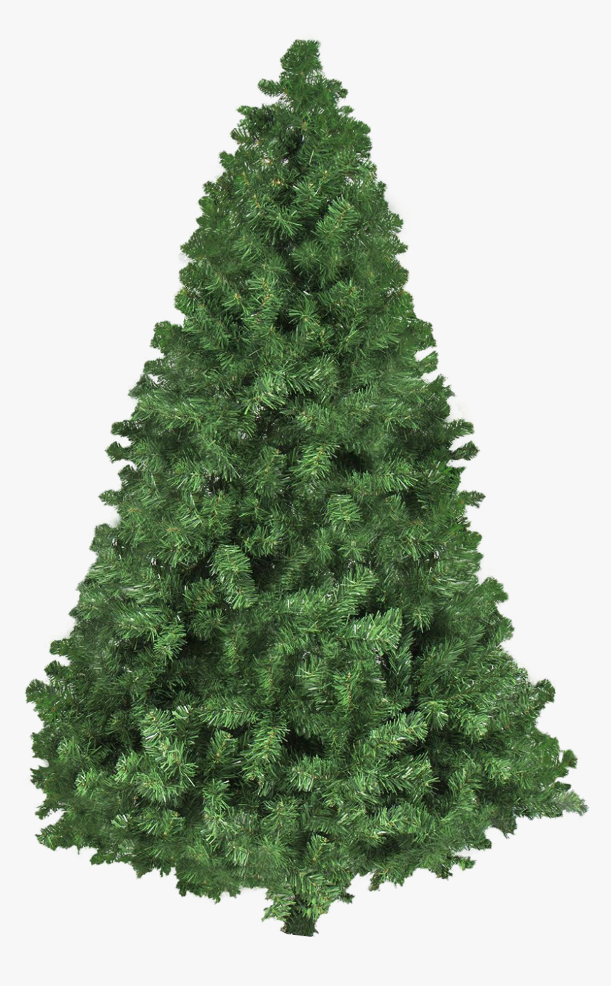 Christmas Tree Png Transparent Image, Png Download