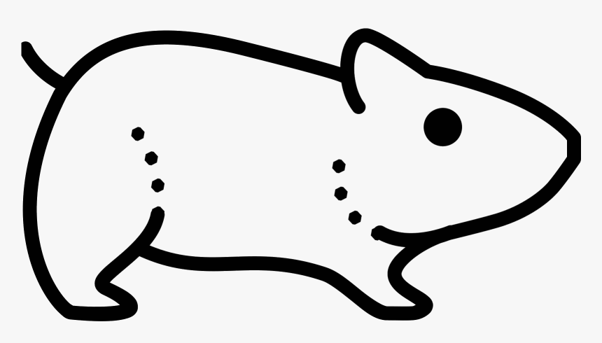 Hamster , Png Download, Transparent Png