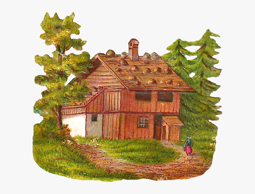 Woods Png, Transparent Png