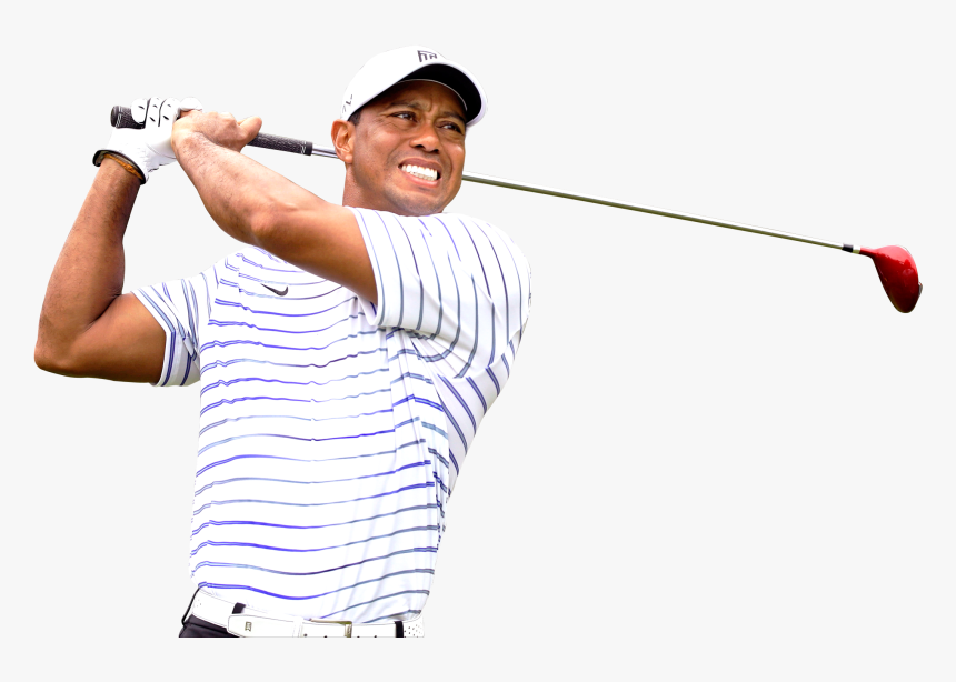 Woods Png, Transparent Png