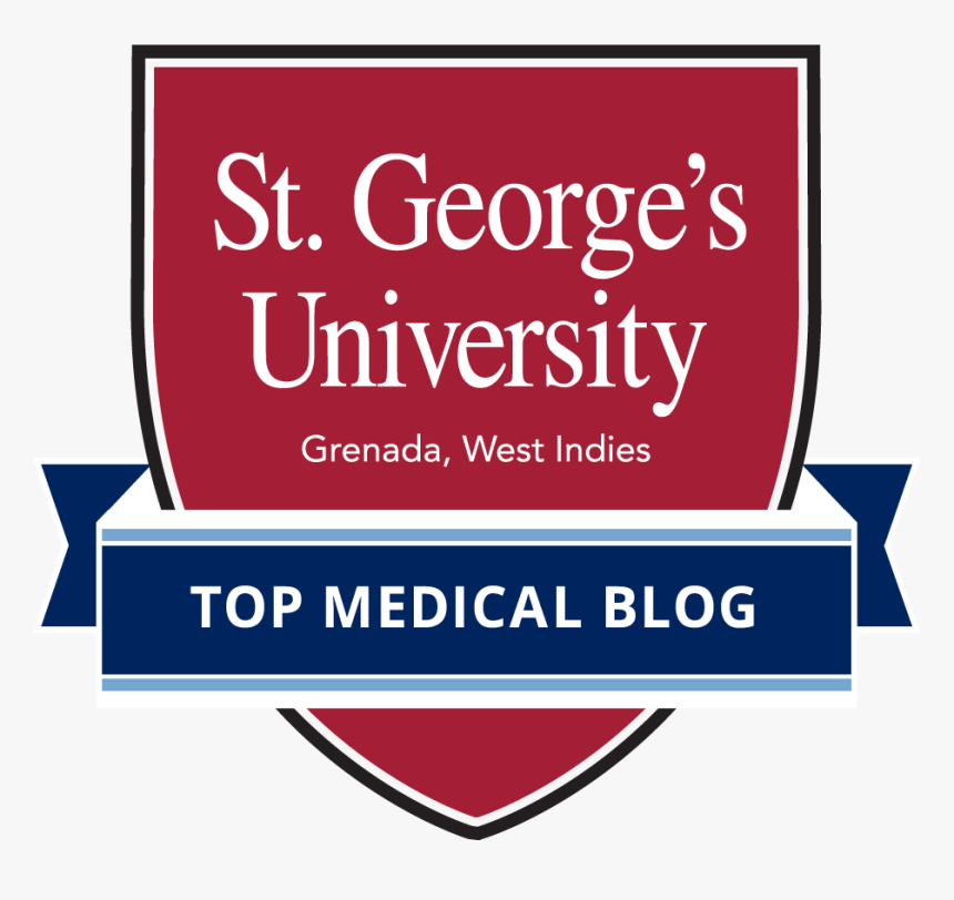 Blood Smear Png, Transparent Png