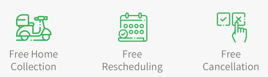 Blood Smear Png, Transparent Png