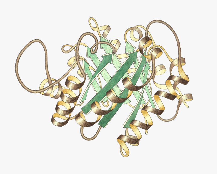 Triosephosphateisomerase Ribbon Pastel Trans, HD Png Download