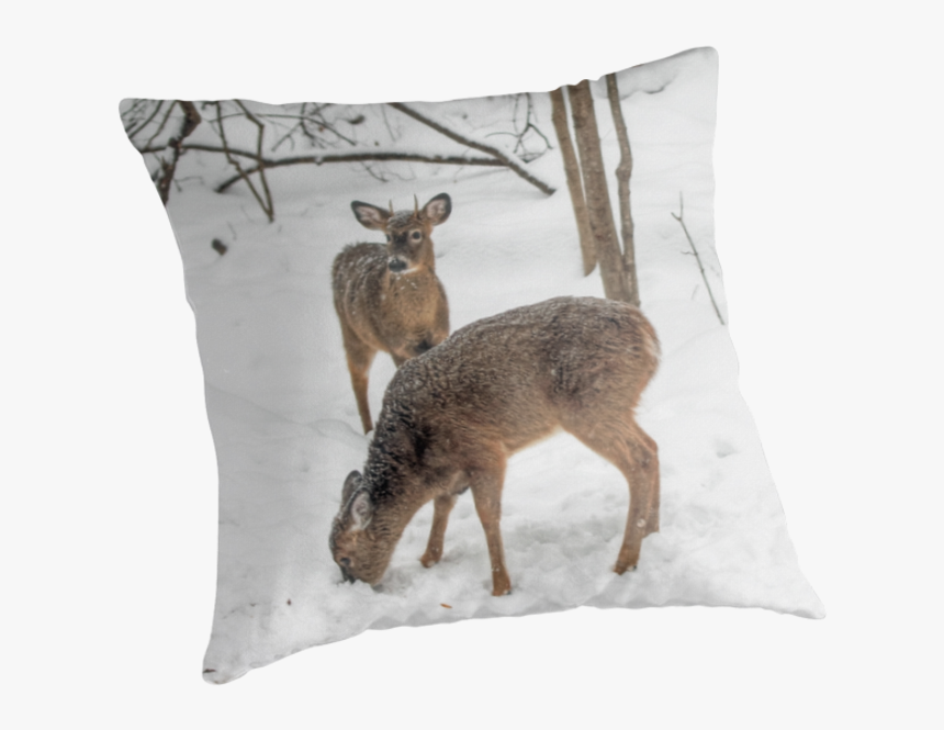 1266079713, Deer In The Woods, Png V, Transparent Png