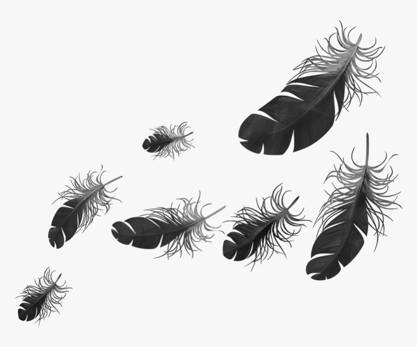Woods Png, Transparent Png