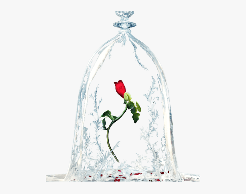 Beauty And The Beast Rose Png, Transparent Png