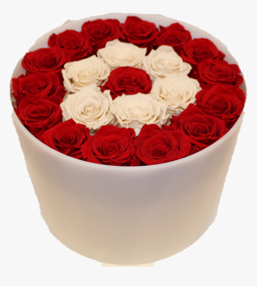 Forever Rose Transparent Background, HD Png Download