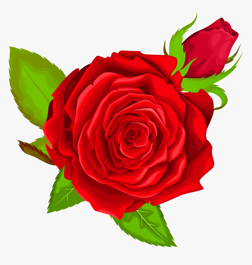 Beauty And The Beast Rose Png Transparent Png Transparent Png Image Pngitem