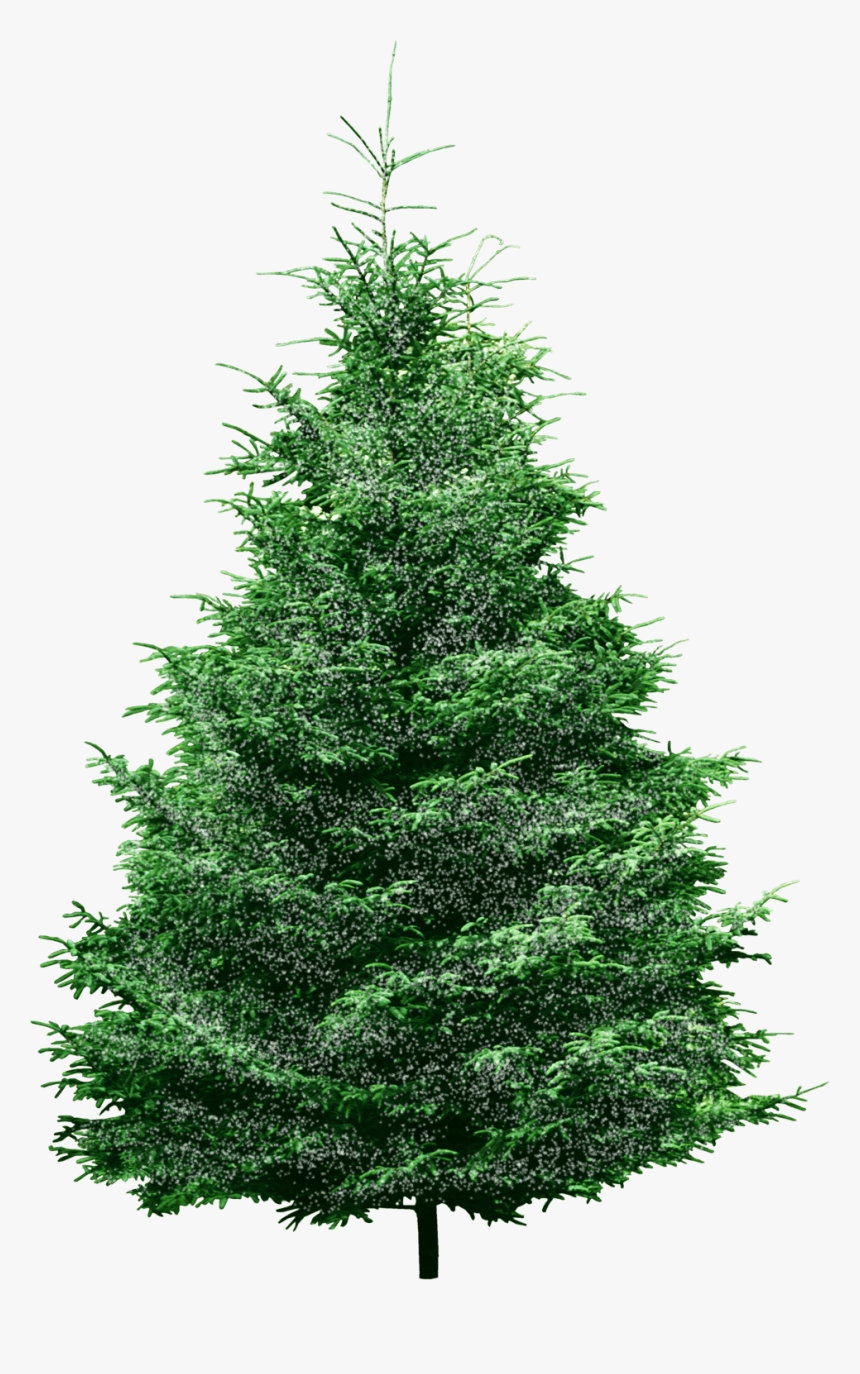 Machine Embroidery, Machine Embroidery Designs, In, HD Png Download