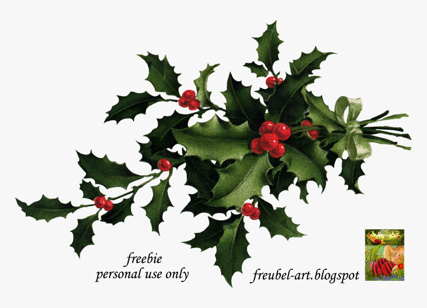 Transparent Christmas Holly Png, Png Download