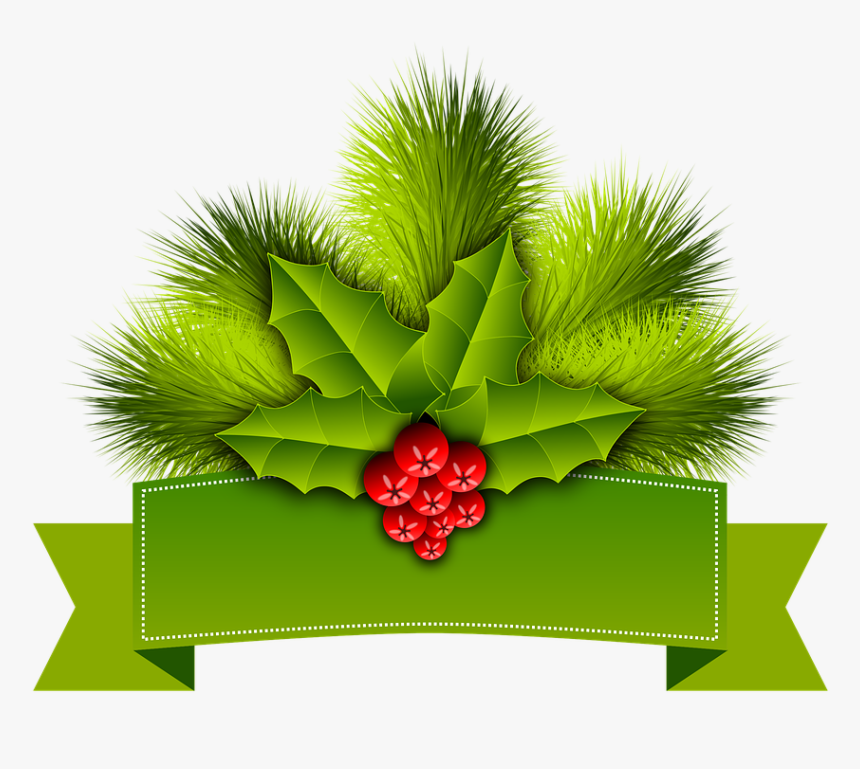 Christmas, Holly, Pinheiro, Ornament, Festive, HD Png Download