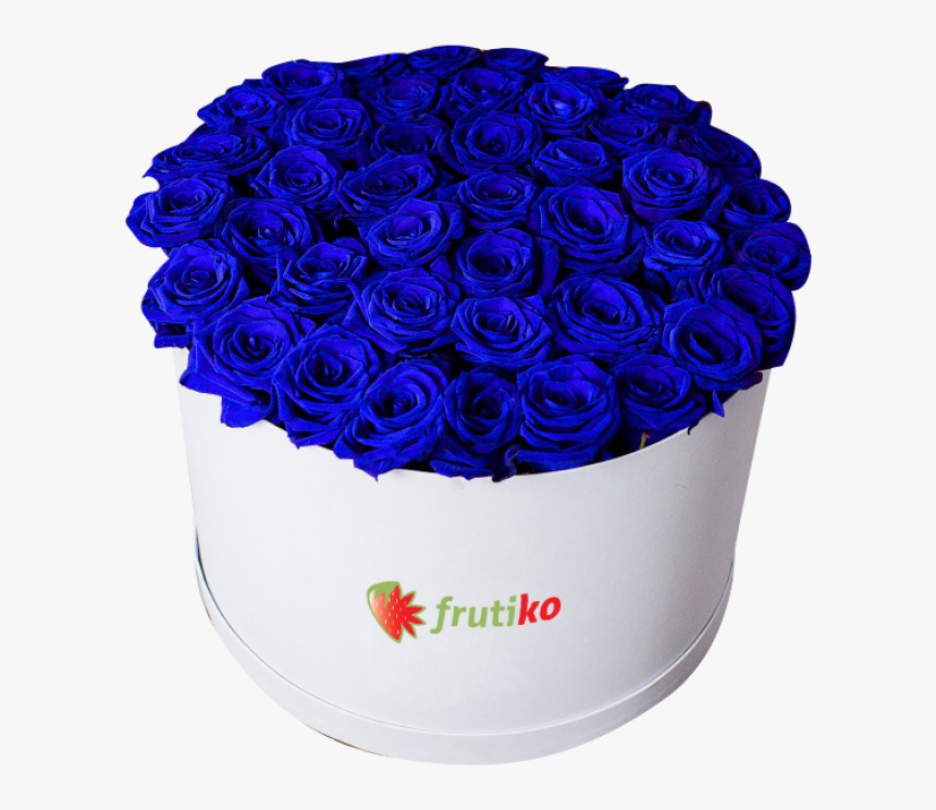 Images In Collection Page, HD Png Download