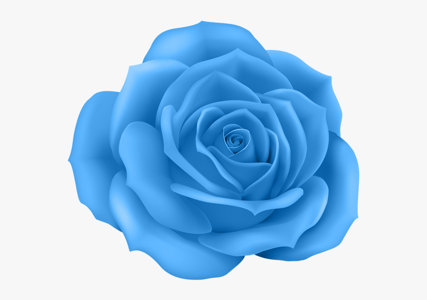 Rose Clip Art Png, Transparent Png