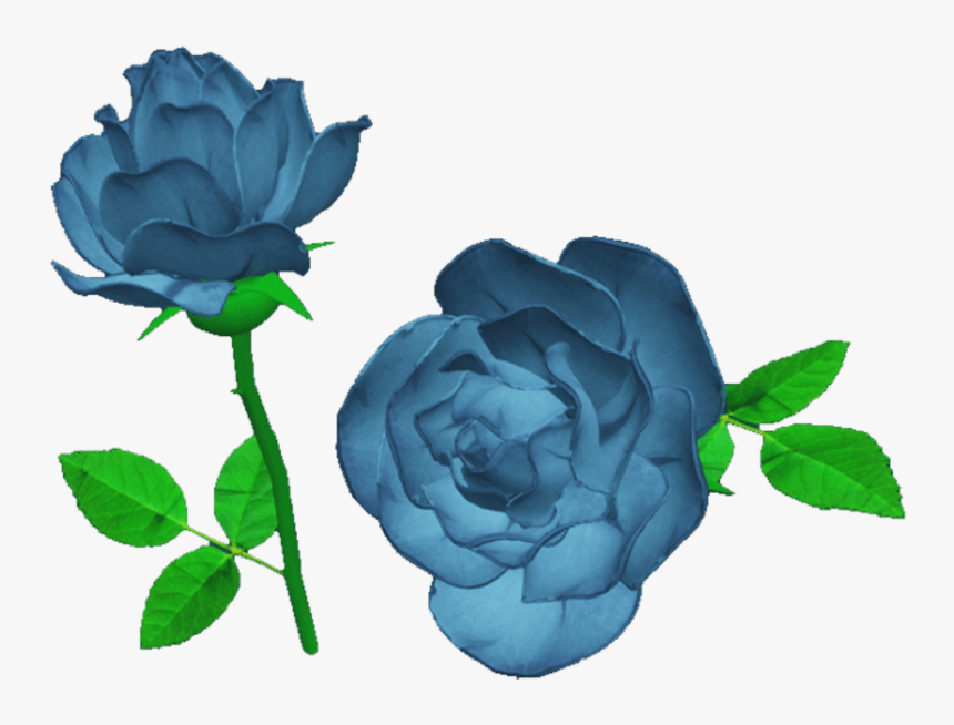 Blue Rose Png, Transparent Png