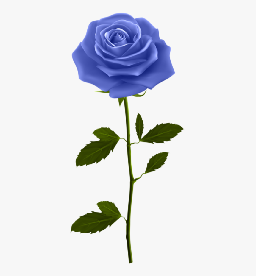 Blue Rose Png, Transparent Png