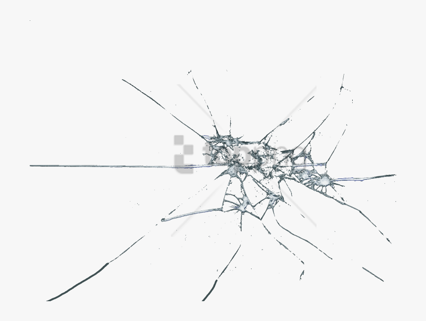 Line,line Art,black And White,insect,stock, HD Png Download