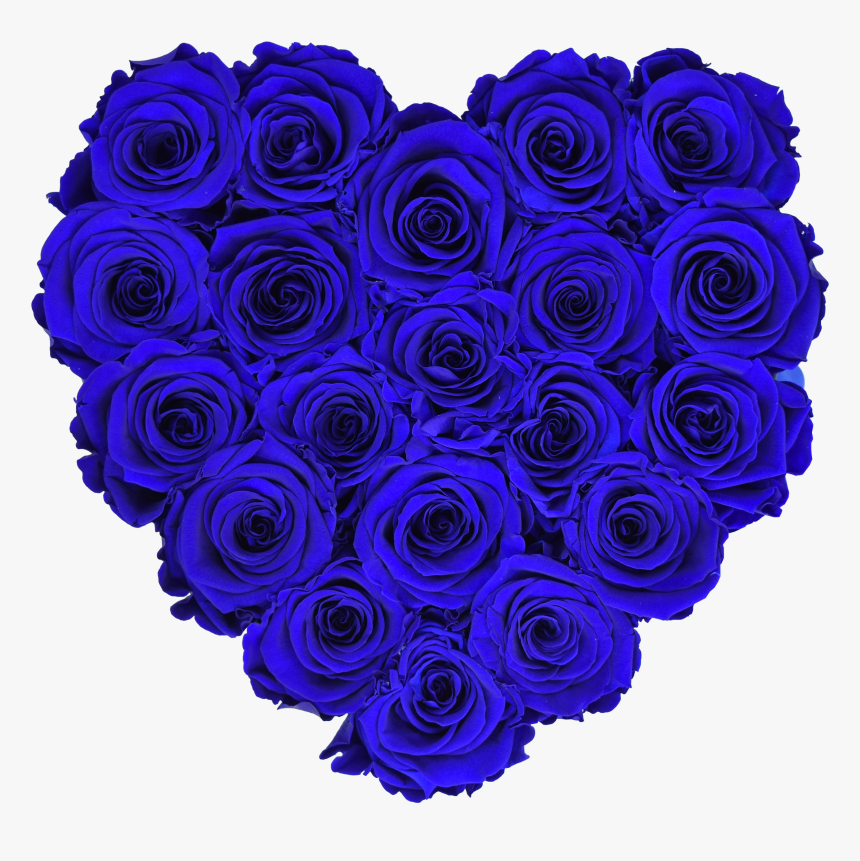 Blue Rose Png, Transparent Png