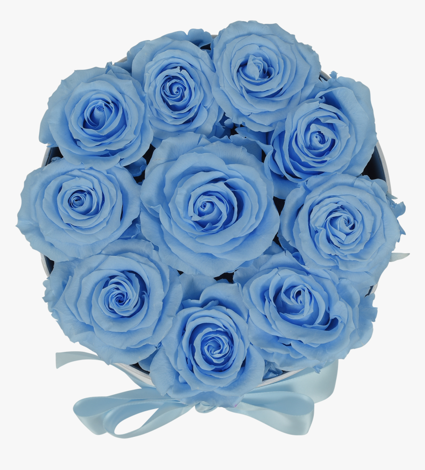 Orb Original Baby Blue Roses 
 Class Lazyload Lazyload, HD Png Download