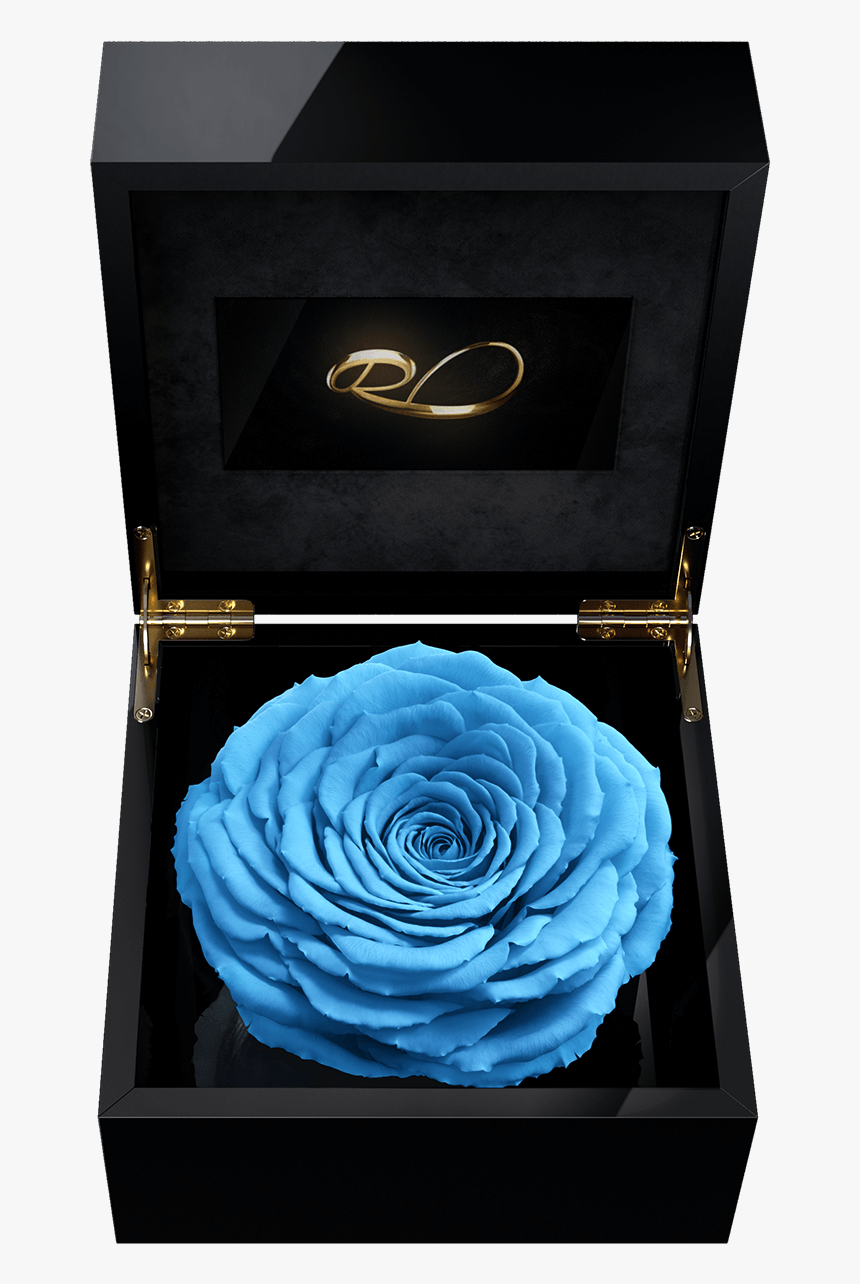 Luxury Video Flower Box Magna With A Xl Preserved Blue, HD Png Download