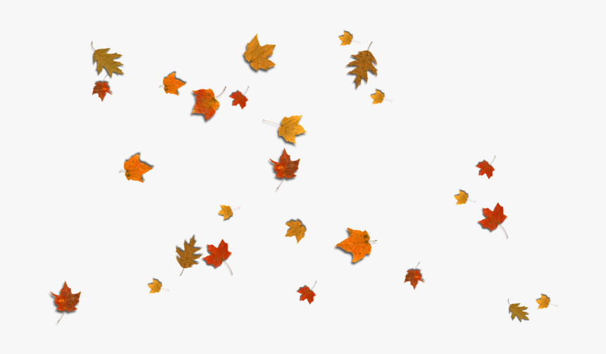 Fall Leaves Corner Border Png Download, Transparent Png