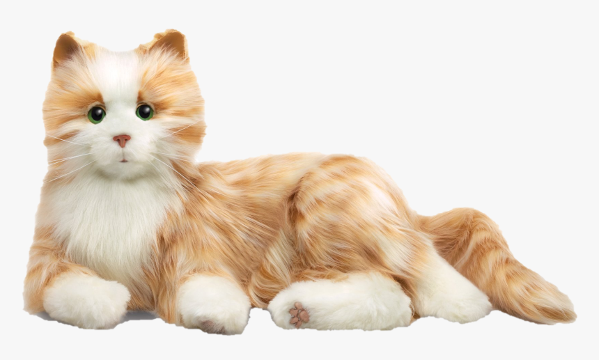 Cat.png, Transparent Png